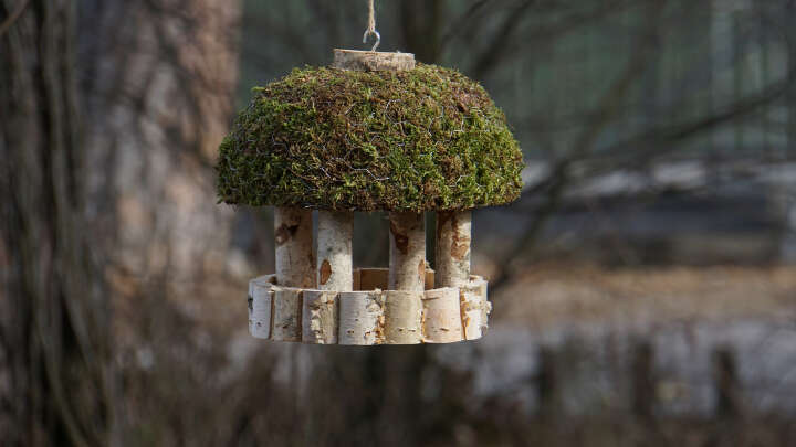 PATKAR Vogelhaus mit Moosdach